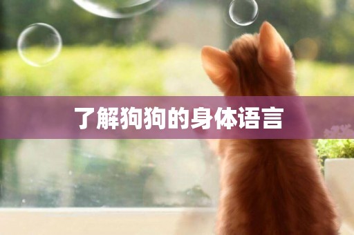了解狗狗的身體語言