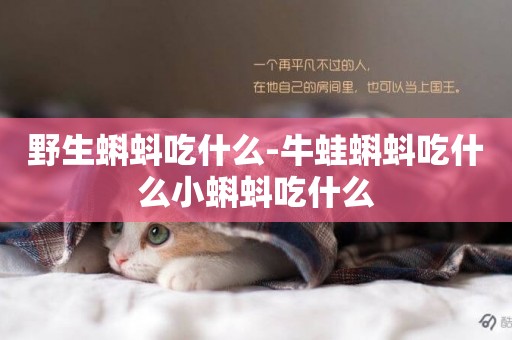 野生蝌蚪吃什么-牛蛙蝌蚪吃什么小蝌蚪吃什么
