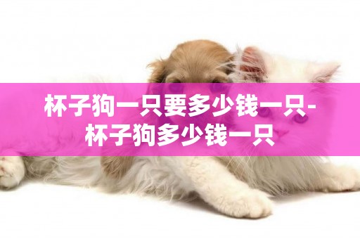 杯子狗一只要多少錢一只-杯子狗多少錢一只