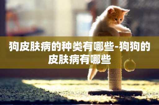 狗皮膚病的種類有哪些-狗狗的皮膚病有哪些