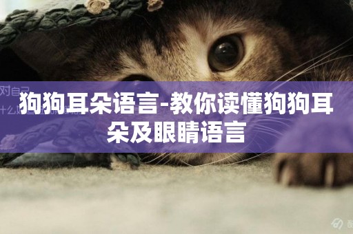 狗狗耳朵語言-教你讀懂狗狗耳朵及眼睛語言