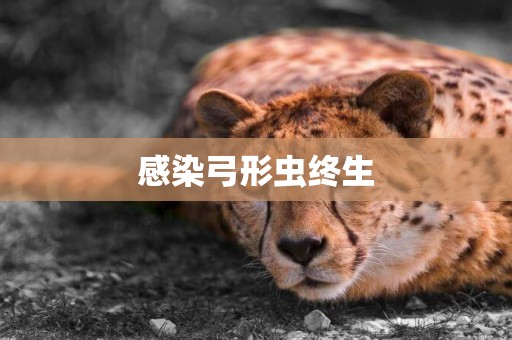 感染弓形蟲終生