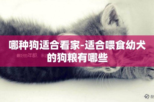 哪種狗適合看家-適合喂食幼犬的狗糧有哪些