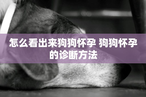 怎么看出來狗狗懷孕 狗狗懷孕的診斷方法