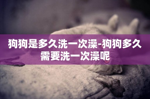 狗狗是多久洗一次澡-狗狗多久需要洗一次澡呢
