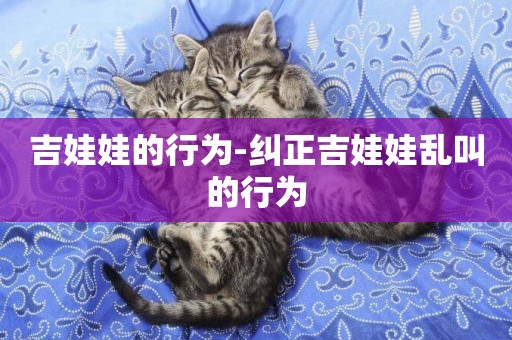 吉娃娃的行為-糾正吉娃娃亂叫的行為