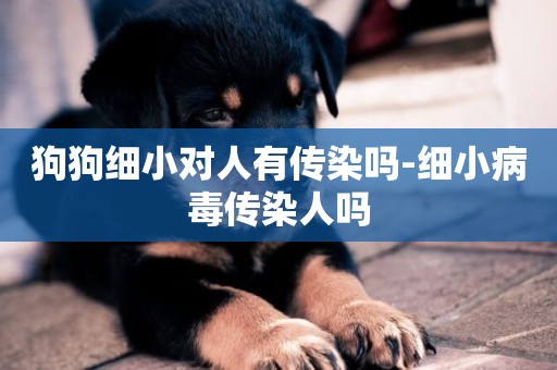 狗狗細小對人有傳染嗎-細小病毒傳染人嗎