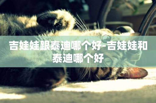 吉娃娃跟泰迪哪個好-吉娃娃和泰迪哪個好