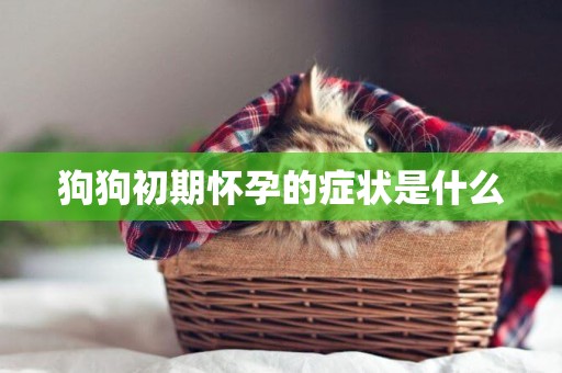狗狗初期懷孕的癥狀是什么