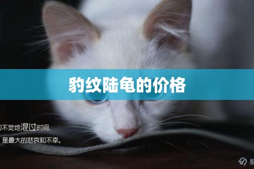 豹紋陸龜的價格