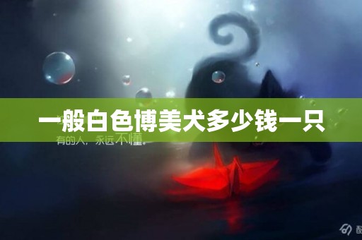 一般白色博美犬多少錢一只