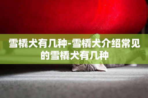 雪橇犬有幾種-雪橇犬介紹常見的雪橇犬有幾種