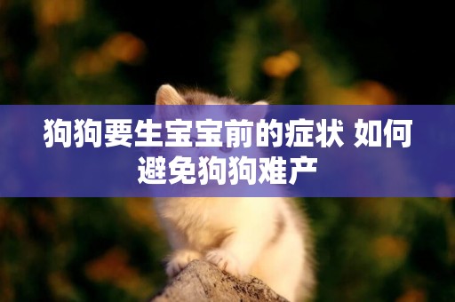 狗狗要生寶寶前的癥狀 如何避免狗狗難產