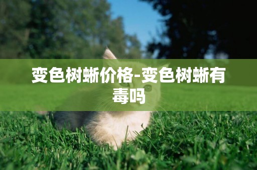 變色樹蜥價格-變色樹蜥有毒嗎
