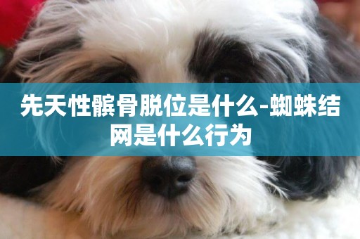 先天性髕骨脫位是什么-蜘蛛結網是什么行為