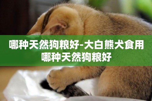 哪種天然狗糧好-大白熊犬食用哪種天然狗糧好