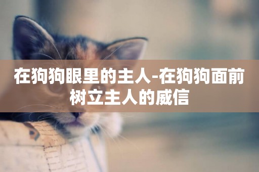 在狗狗眼里的主人-在狗狗面前樹立主人的威信