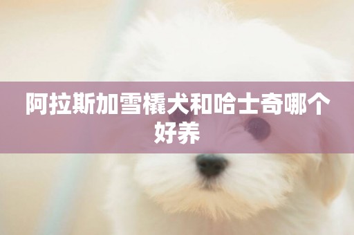 阿拉斯加雪橇犬和哈士奇哪個好養
