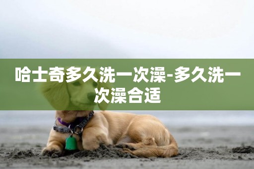 哈士奇多久洗一次澡-多久洗一次澡合適