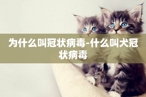 為什么叫冠狀病毒-什么叫犬冠狀病毒