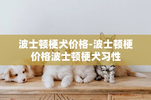 波士頓梗犬價格-波士頓梗價格波士頓梗犬習性