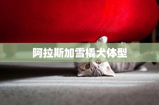 阿拉斯加雪橇犬體型