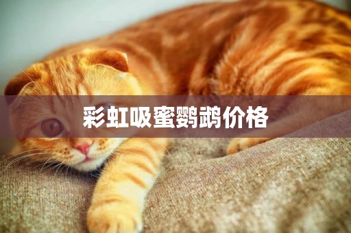 彩虹吸蜜鸚鵡價格