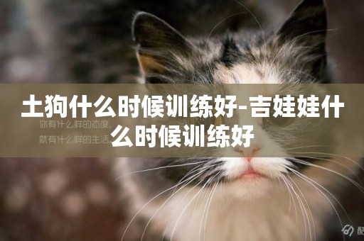 土狗什么時候訓練好-吉娃娃什么時候訓練好