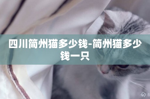 四川簡州貓多少錢-簡州貓多少錢一只