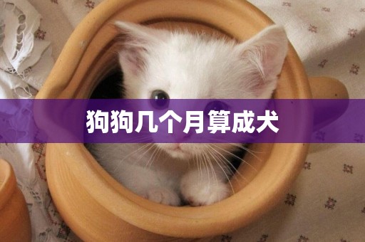 狗狗幾個月算成犬
