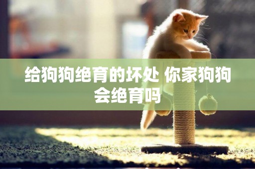 給狗狗絕育的壞處 你家狗狗會絕育嗎