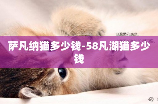 薩凡納貓多少錢-58凡湖貓多少錢