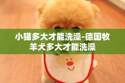 小貓多大才能洗澡-德國牧羊犬多大才能洗澡