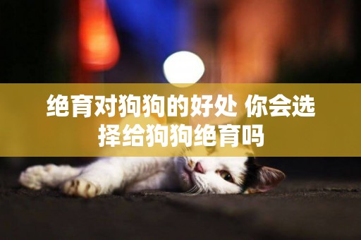 絕育對狗狗的好處 你會選擇給狗狗絕育嗎
