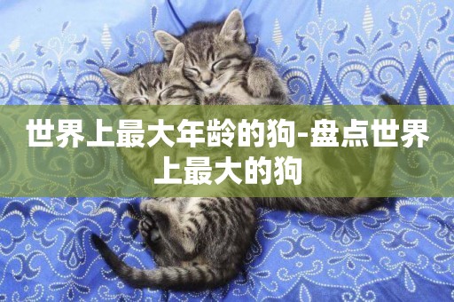世界上最大年齡的狗-盤點世界上最大的狗