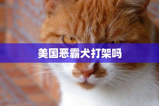 美國惡霸犬打架嗎
