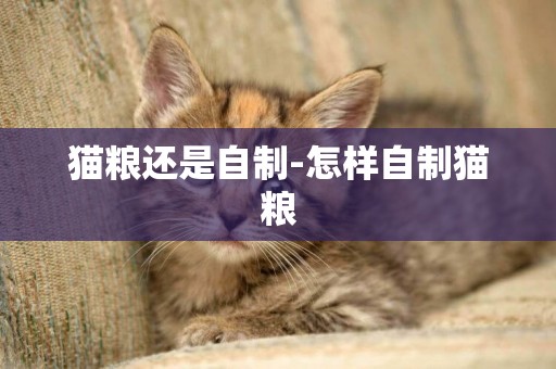 貓糧還是自制-怎樣自制貓糧