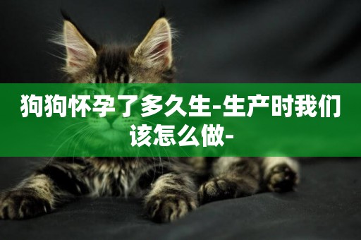 狗狗懷孕了多久生-生產時我們該怎么做-