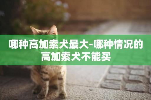 哪種高加索犬最大-哪種情況的高加索犬不能買