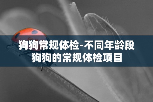狗狗常規體檢-不同年齡段狗狗的常規體檢項目