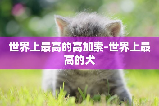 世界上最高的高加索-世界上最高的犬