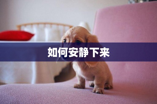 如何安靜下來