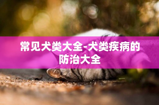 常見犬類大全-犬類疾病的防治大全