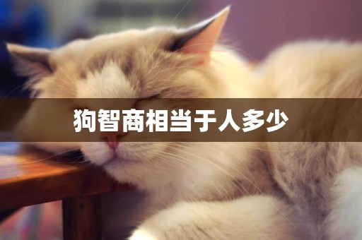 狗智商相當于人多少