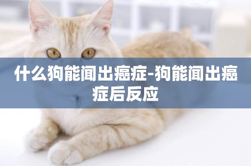 什么狗能聞出癌癥-狗能聞出癌癥后反應
