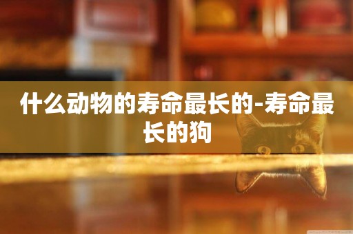 什么動物的壽命最長的-壽命最長的狗