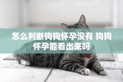 怎么判斷狗狗懷孕沒有 狗狗懷孕能看出來嗎