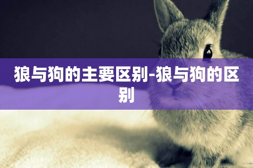狼與狗的主要區別-狼與狗的區別