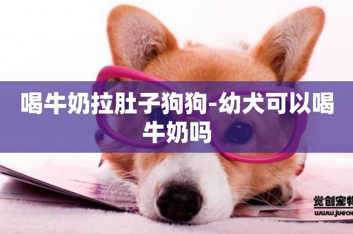 喝牛奶拉肚子狗狗-幼犬可以喝牛奶嗎