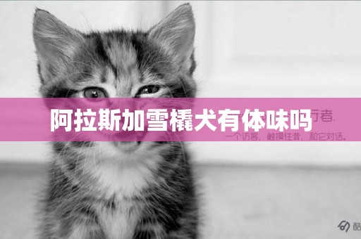 阿拉斯加雪橇犬有體味嗎